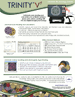 Brochure PDF Liofilchem