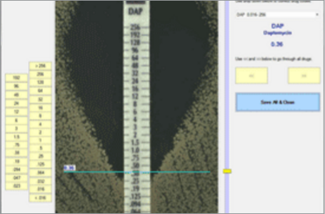 MIC Test Strip esempio 1