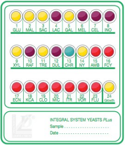 Integral system