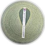 Caratteristiche MIC Test Strip