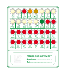 Clinical Specimens