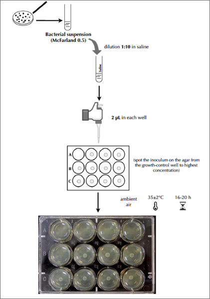 Agar Dilution Panels | AD Panels