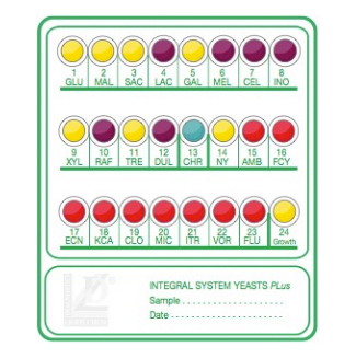 Integral System Yeasts Plus