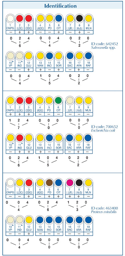 Enterosystem 18R