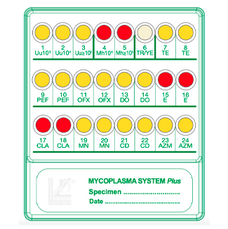 Mycoplasma System Plus