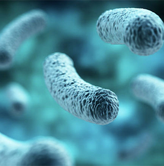 legionella